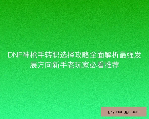 DNF神枪手转职选择攻略全面解析最强发展方向新手老玩家必看推荐